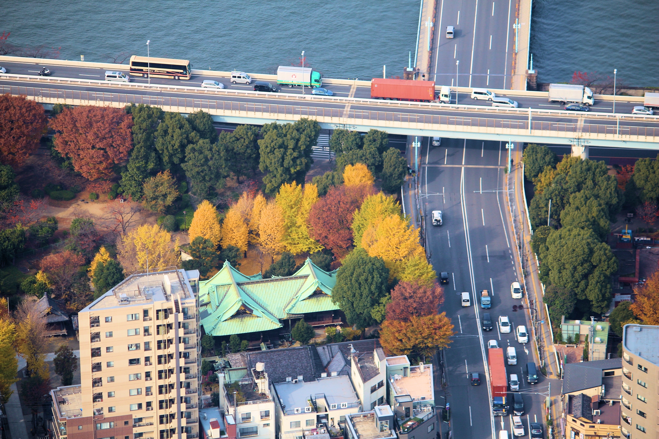 The elevated Shuto Expressway Mukojima Route passing Ushijima Shrine in autumn, Tokyo