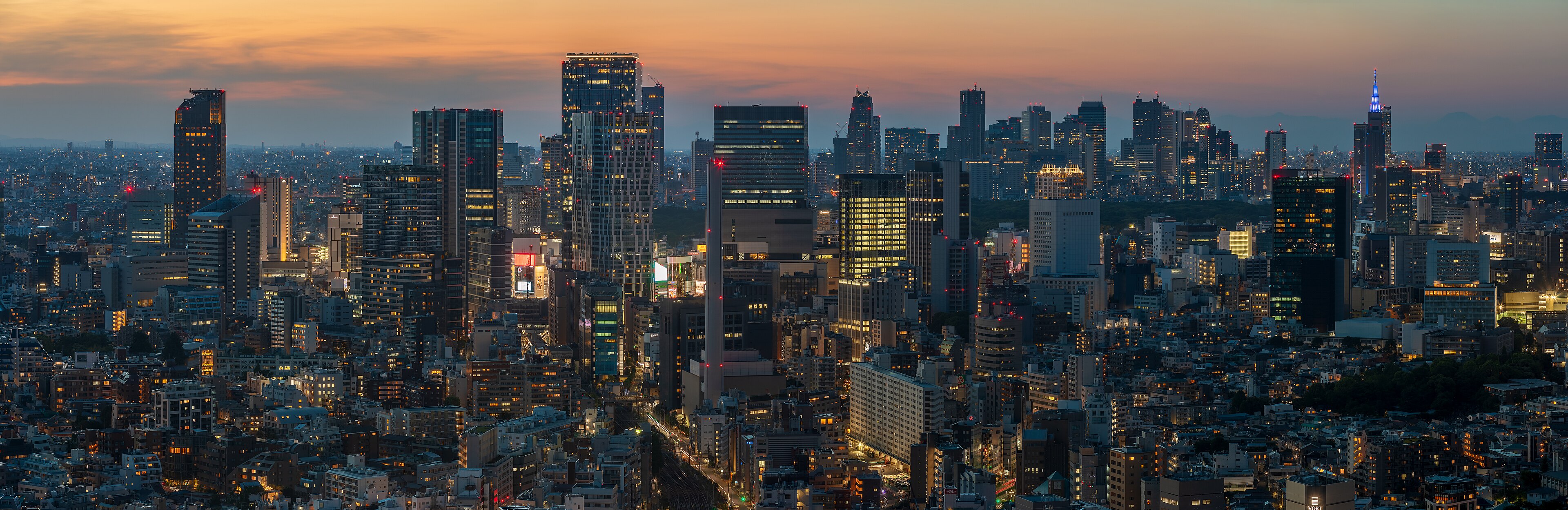 The skylines of Shibuya and Shinjuku at dusk, seen from Ebisu, Tokyo